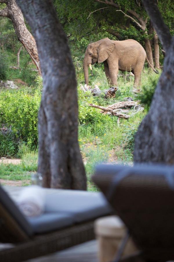 Simbavati Amani Villa Klaserie Private Nature Reserve Exteriör bild