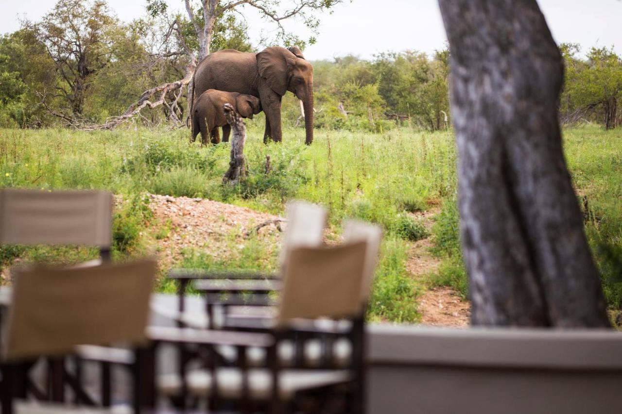 Simbavati Amani Villa Klaserie Private Nature Reserve Exteriör bild