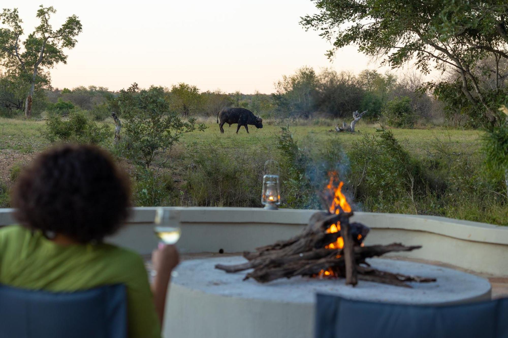 Simbavati Amani Villa Klaserie Private Nature Reserve Exteriör bild